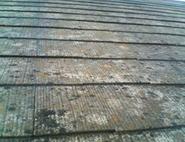 コロニアル屋根のこけ・剥離